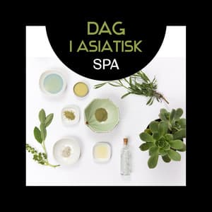 Dag i asiatisk spa - Naturlig musik för avkoppling, Sinn och kroppsföryngring, Shiatsu massage, Tid för ayurveda - Lugn Spa Akademi