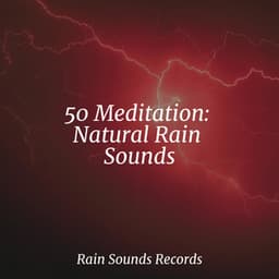 50 Meditation: Natural Rain Sounds - Sounds of Nature Relaxation