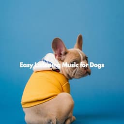 Easy Listening Music for Dogs - Musica Relajante para Perros Momentos