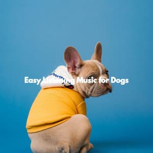 Easy Listening Music for Dogs - Musica Relajante para Perros Momentos