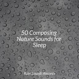 50 Composing Nature Sounds for Sleep - Avslappning Sound