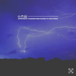 Appropriate Thunderstorm Sounds to Lose Stress - Rain, Hurricane & Thunder Storms Sounds