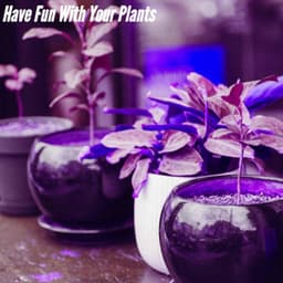 Have Fun With Your Plants - Musica per la Colazione Sala