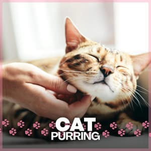 Cat Purring - Music for Cats Peace