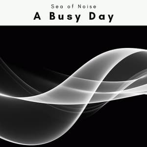 A Busy Day - Sea of Noise