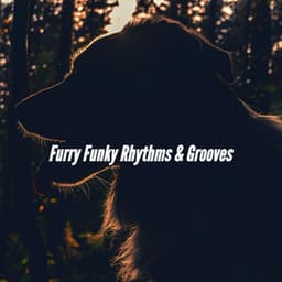 Furry Funky Rhythms & Grooves - Dog Sleeping Soundtracks Deluxe