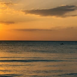 01 Noise Machine: Calm Study - Focus Noise