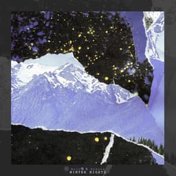 Winter Nights - Mujo