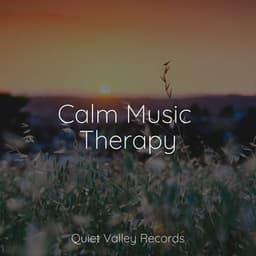 Calm Music Therapy - Nature Sounds XLE Library