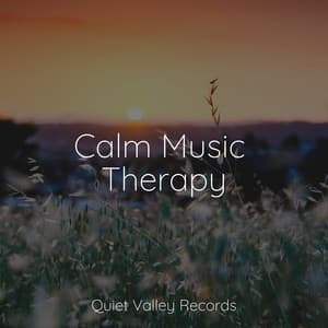 Calm Music Therapy - Nature Sounds XLE Library