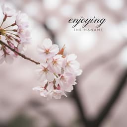 Enjoying the Hanami - Japanese Traditionals