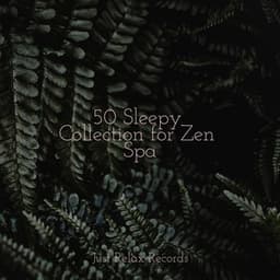 50 Sleepy Collection for Zen Spa - Lucid Dreaming World-Collective Unconscious Mind