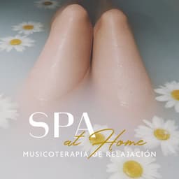 SPA at Home: Musicoterapia de Relajación con Masaje - Relajación Música Fondo Conjunto