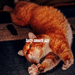 tasty smooth jazz - Moderno Cafe Jazz