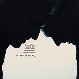 Echoes of Spring - François Raulin