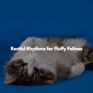 Restful Rhythms for Fluffy Felines - Perfect Weekend Jazz