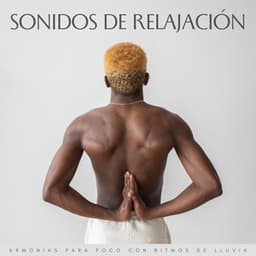 Sonidos De Relajación: Armonías Para Foco Con Ritmos De Lluvia - Llovió