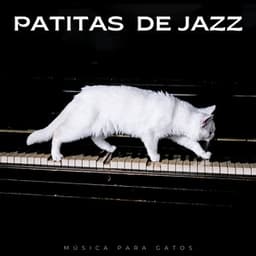 Patitas De Jazz: Música Para Gatos - Música para gatos Deluxe