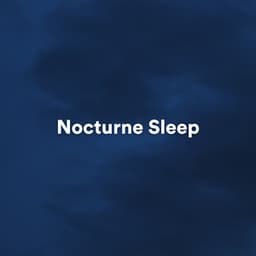 Nocturne Sleep - Reiki Healing Zone