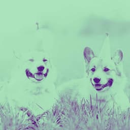 Chilled Ambiance for Roaring Pups - Puppy Music