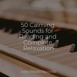 50 Calming Sounds for Reading and Complete Relaxation - Ivory Mood