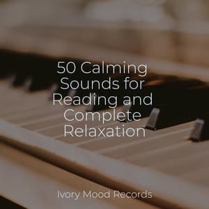 50 Calming Sounds for Reading and Complete Relaxation - Ivory Mood