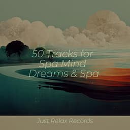 50 Tracks for Spa Mind Dreams & Spa - Música ambiental relajante