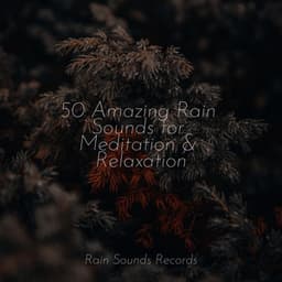 50 Amazing Rain Sounds for Meditation & Relaxation - Rain Sound Studio
