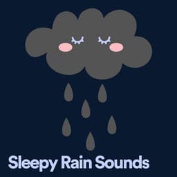 Sleepy Rain Sounds - The Nature Soundscapes