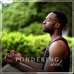 Pondering Soul - Zen Arena