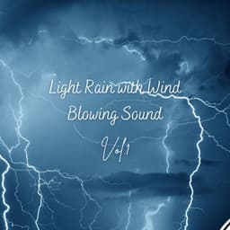 Light Rain with Wind Blowing Sound Vol. 1 - Rain Palace