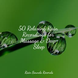 50 Relaxing Rain Recordings for Massage & Deep Sleep - Sons da Natureza