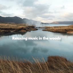 Relaxing music in the woods - Easy Listening Jazz