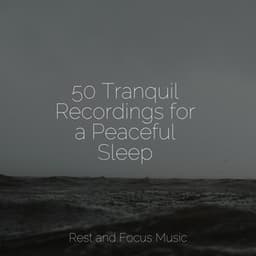 50 Tranquil Recordings for a Peaceful Sleep - Deep Focus