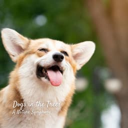 Dogs in the Trees: A Nature Symphony - Nature Vibrations