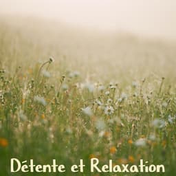 Détente et relaxation - Relaxation Détente