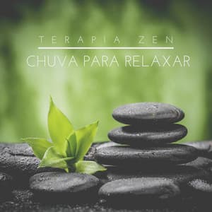 Terapia Zen: Chuva para Relaxar - Oasis Relaxamento