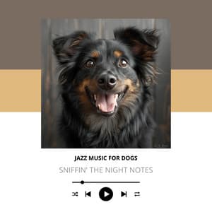 Sniffin' the Night Notes - Jazz Music for Dogs