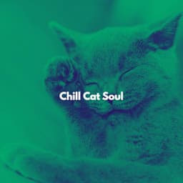 Chill Cat Soul - Lunch Time Music