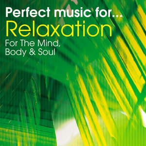 Perfect Music for Relaxation - Stress Relief for the Mind, Body & Soul - Perfect Relaxation