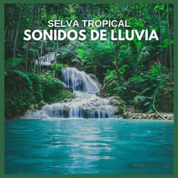 Selva Tropical: Sonidos de Lluvia - Sonidos De La Selva