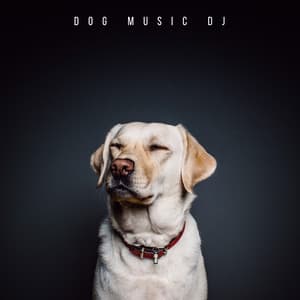 Tunes For Dogs - Dog Music DJ