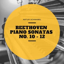 Beethoven Piano Sonatas No. 10 - 12 - Artur Schnabel