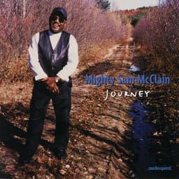 Journey - Mighty Sam McClain