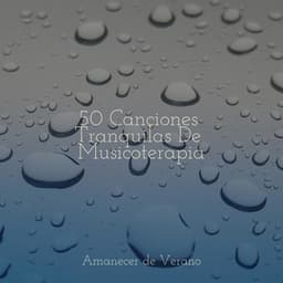 50 Canciones Tranquilas De Musicoterapia - Música relaxante