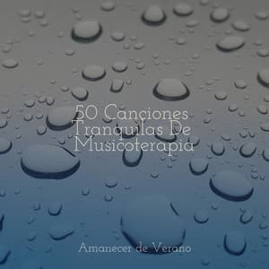 50 Canciones Tranquilas De Musicoterapia - Música relaxante