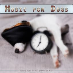 Music for Dogs: Calming Music for Dogs and Ambient Music - Pure Dog Music