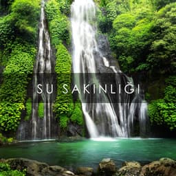 Su Sakinliği: Rahatlatıcı Yağmur Sesleri, Şelale, Nehir, Dere, Okyanus Dalgaları - Rahatla Zamanı Vaha