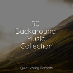 50 Background Music Collection - Rainfall For Sleep