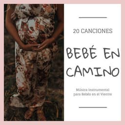 Bebé en Camino 20 Canciones: Música Instrumental para Bebés en el Vientre - Musica para Bebes